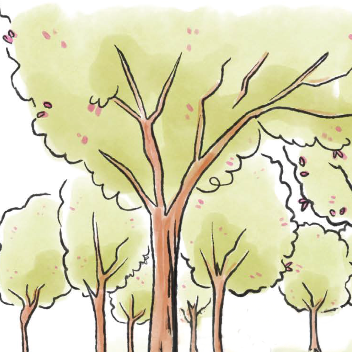 BSZ_Web_Icons_V03_Gruenflaeche